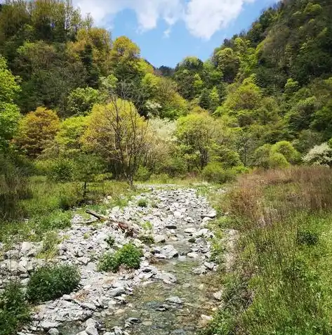 0.1折手游平台，探秘0.1折手游平台，揭秘低成本游戏盛宴背后的秘密