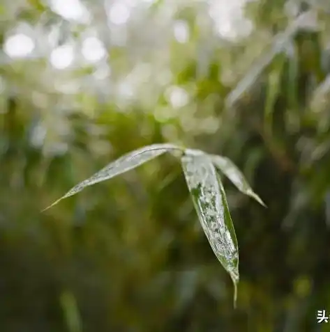 0.1折手游平台，探秘0.1折手游平台，如何颠覆游戏市场，让你畅玩无压力！