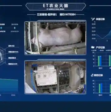 黑暗光年0.1折平台，揭秘黑暗光年0.1折平台，带你领略电商新玩法