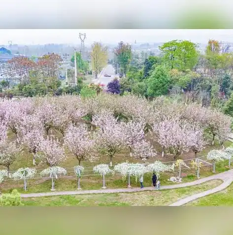 0.1折手游平台，揭秘0.1折手游平台，畅游低价游戏的奇幻之旅