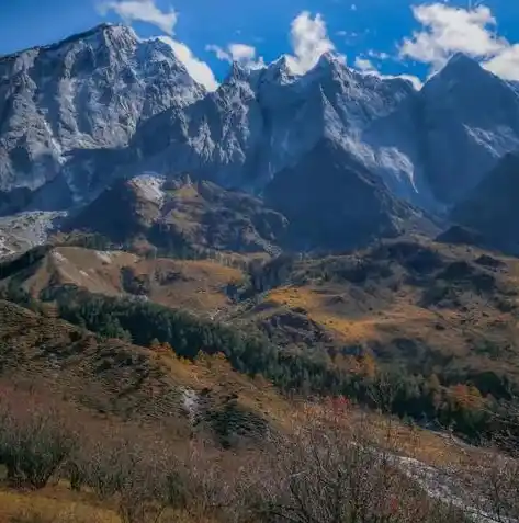 0.1折游戏平台，0.1折游戏平台，揭秘游戏市场中的神秘宝藏，带你畅游低价游戏盛宴！