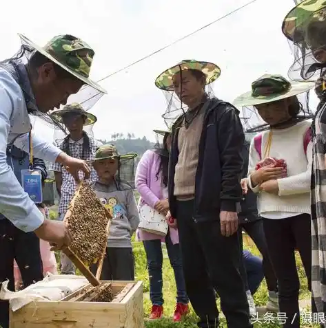 0.1折手游平台，揭秘0.1折手游平台，让你轻松享受游戏乐趣的秘密基地！