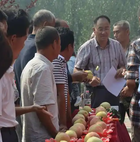 0.1折游戏平台，揭秘0.1折游戏平台，如何以极低折扣畅享游戏盛宴？