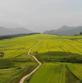 0.1折手游平台推荐，探秘0.1折手游平台，你的游戏天堂，尽享超值优惠！