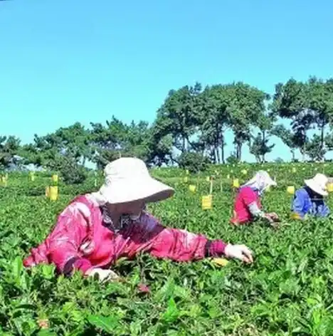 0.1折手游平台，探秘0.1折手游平台，揭秘低成本高收益的游戏世界