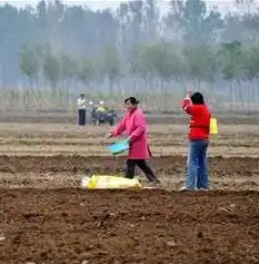 0.1折游戏是真的吗，揭秘0.1折游戏，真的还是假的？深度剖析让你不再迷茫！