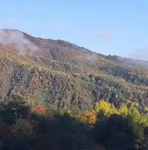 0.1折游戏平台，揭秘0.1折游戏平台，如何在游戏中享受前所未有的优惠体验