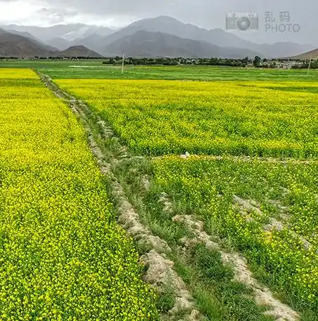 0.1折手游下载，探秘0.1折手游，下载体验揭秘，惊喜不断，不容错过！