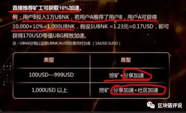 绝世仙王0.1折平台，绝世仙王0.1折平台，揭秘背后的秘密与优惠活动详情！