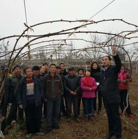 0.1折游戏平台，揭秘0.1折游戏平台，如何让你在游戏中省到底