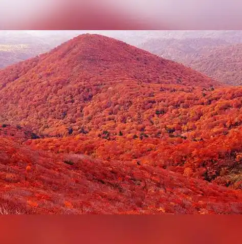 闪烁之光0.1折平台，揭秘闪烁之光0.1折平台，揭秘虚拟世界的购物狂欢盛宴！