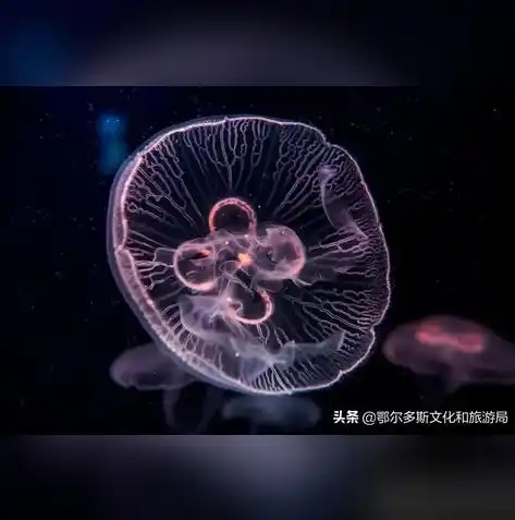 0.1折游戏盒子，揭秘0.1折游戏盒子，带你走进游戏低价狂欢的奇幻世界