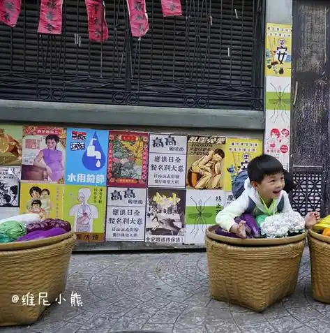 闪烁之光0.1折平台，揭秘闪烁之光0.1折平台，低价购物新风尚，如何抓住机遇