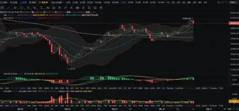 黑暗光年0.1折平台，黑暗光年0.1折平台，揭秘游戏行业价格战背后的秘密