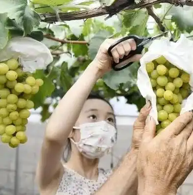 0.1折手游平台是真的吗，揭秘0.1折手游平台，真伪难辨的背后真相，消费者需谨慎