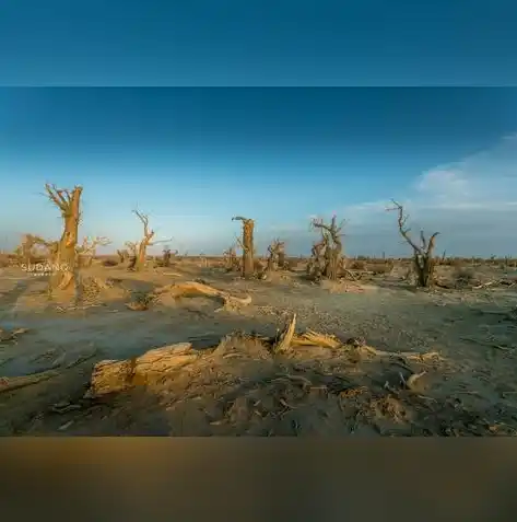 0.1折游戏推荐，探寻游戏界的神秘宝藏，0.1折游戏推荐大盘点！