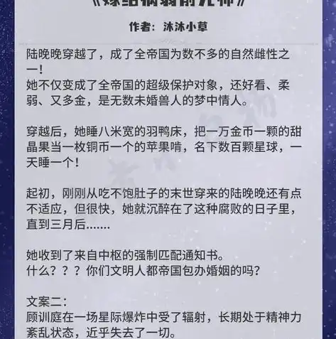 黑暗光年0.1折平台，黑暗光年0.1折平台，探索神秘宇宙的低价盛宴，开启你的星际之旅！