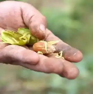 0.1折游戏平台，揭秘0.1折游戏平台，如何在繁华游戏世界中独占鳌头？