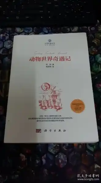 动物历险记0.1折游戏，动物历险记，探险者的奇迹之旅——揭秘0.1折游戏背后的奇幻世界