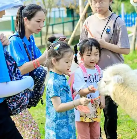 0.1折手游平台下载，揭秘0.1折手游平台，下载攻略与独家优惠大放送！