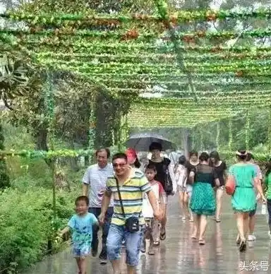 0.1折手游平台推荐，探索神秘世界，尽在0.1折手游平台——五大热门游戏推荐