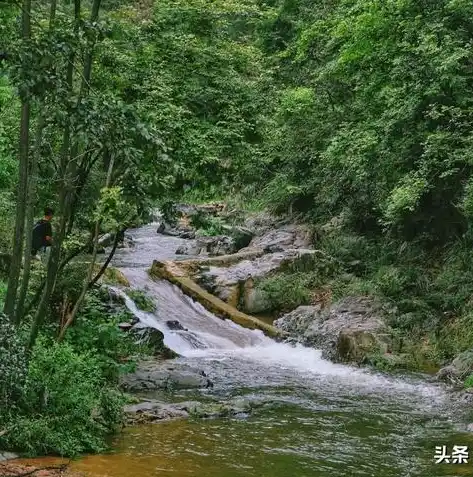 0.1折游戏平台，揭秘0.1折游戏平台，如何用极低价格畅享顶级游戏体验