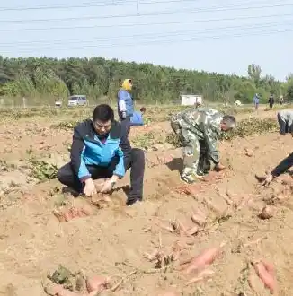 0.1折手游平台app排行榜，揭秘0.1折手游平台，盘点热门app排行榜，抢鲜体验低价狂欢！