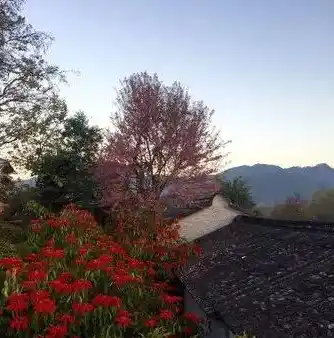 0.1折手游平台推荐，揭秘0.1折手游平台，让你轻松畅玩心仪游戏，领略超值优惠！