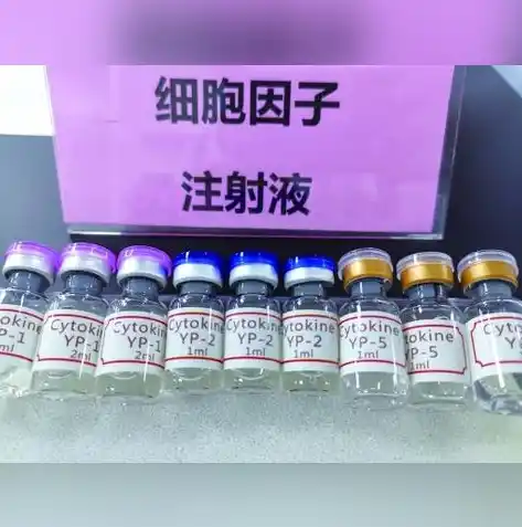 0.1折游戏盒，揭秘0.1折游戏盒，低价享受高品质游戏的秘密武器！