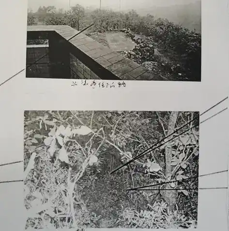 0.1折游戏套路，揭秘0.1折游戏大狂欢，错过这个，你将后悔一生！