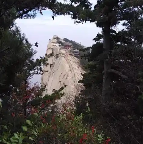 0.1折手游平台，探秘0.1折手游平台，低至一折，带你领略游戏新境界！