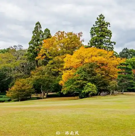 0.1折游戏盒子，揭秘0.1折游戏盒子，让你畅游低价游戏海洋的神奇神器！