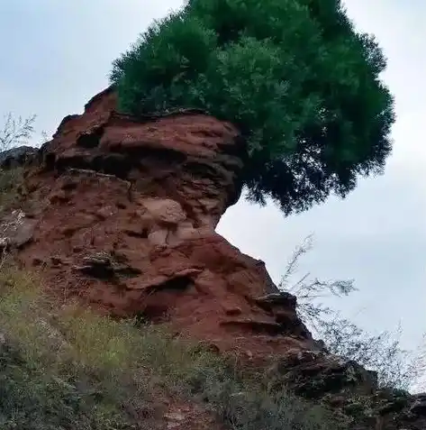 0.1折游戏平台，0.1折游戏平台，揭秘低成本畅游的神奇世界