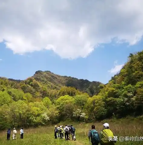 0.1折手游下载，探秘0.1折手游盛宴，下载攻略与独家体验分享