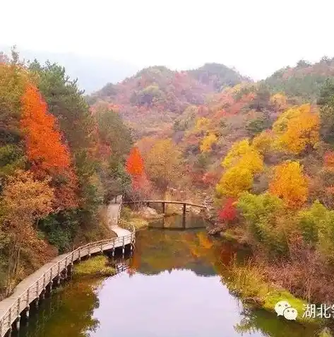 0.1折游戏套路，神秘折扣揭秘！揭秘0.1折游戏背后的真相！