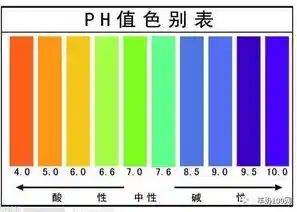 0.1折平台哪个好，揭秘0.1折平台，哪个平台才是您的最佳选择？深度评测让您不再迷茫！