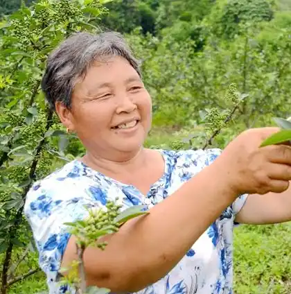 0.1折游戏平台，0.1折游戏平台，让你畅游低价游戏世界，尽享优惠狂欢！