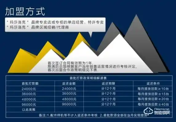 0.1折平台哪个好，深度解析，0.1折平台哪家强？揭秘行业翘楚背后的秘密