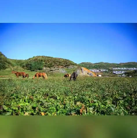 0.1折游戏平台，探秘0.1折游戏平台，独家优惠带你畅游游戏世界