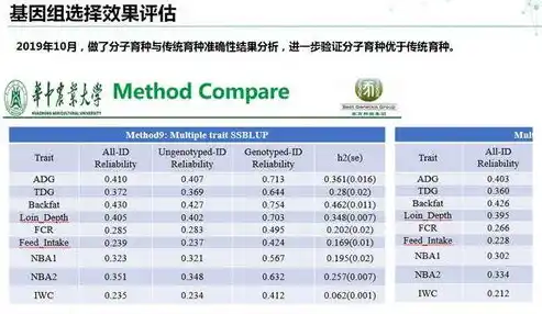 0.1折平台排行，揭秘0.1折平台，揭秘行业黑马，盘点各大热门平台排行及优惠策略