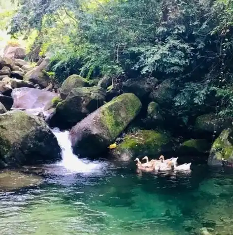 0.1折手游推荐，探索0.1折手游的奥秘，盘点那些让你心动不已的精品之作