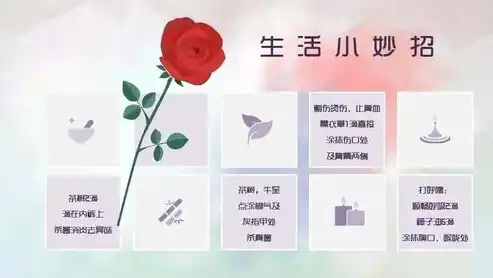 0.01折平台，揭秘0.01折平台，低价购物的秘密花园