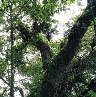 0.1折手游下载，探秘0.1折手游，下载攻略与热门推荐，错过你就亏大了！