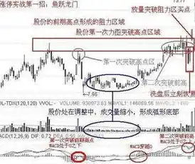 0.1折平台排行，揭秘0.1折平台，排行背后的秘密与实战攻略